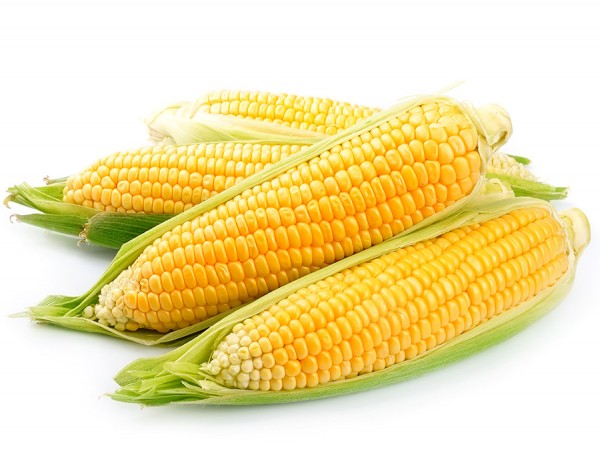 Frozen Corn 3pcs (Yellow)